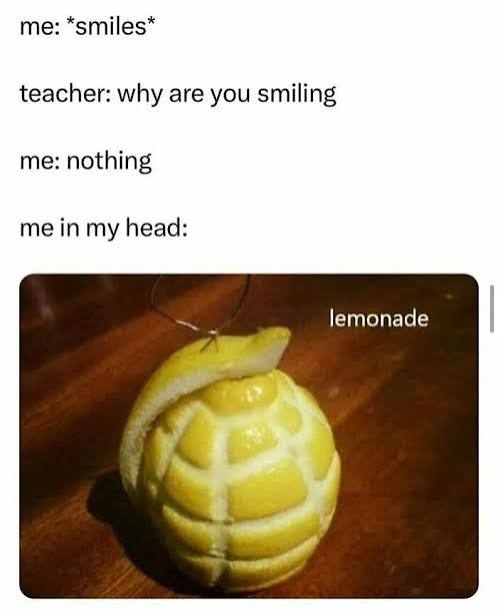 Funny Images That Make Every Scroll More Enjoyable